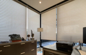 PELEGANCEreel-Estudio